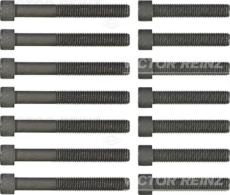 Cylinder Head Bolt Set